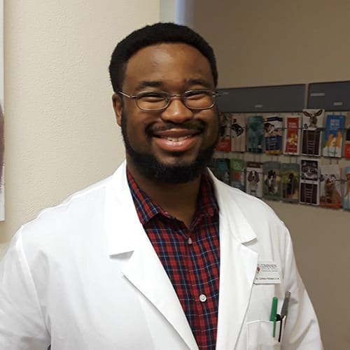Las Vegas Veterinarian